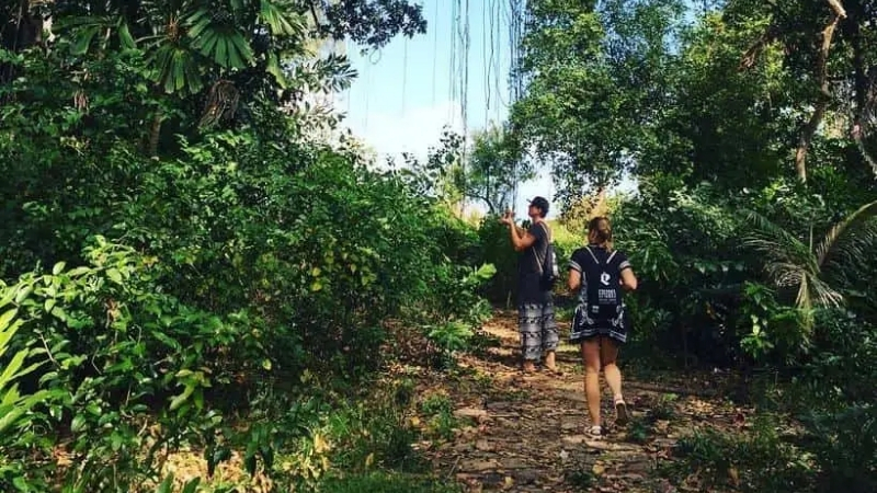 Exploring vegetation Phu Quoc National Park