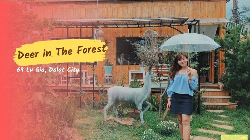 Deer in The Forest Cafe Da Lat