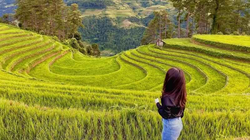 best time to see vietnam rice terraces
