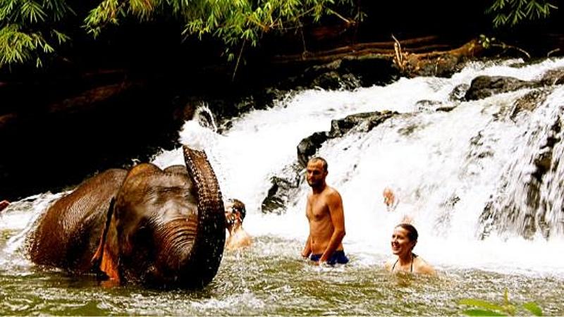 Mondulkiri Elephant Camp - places to see in cambodia