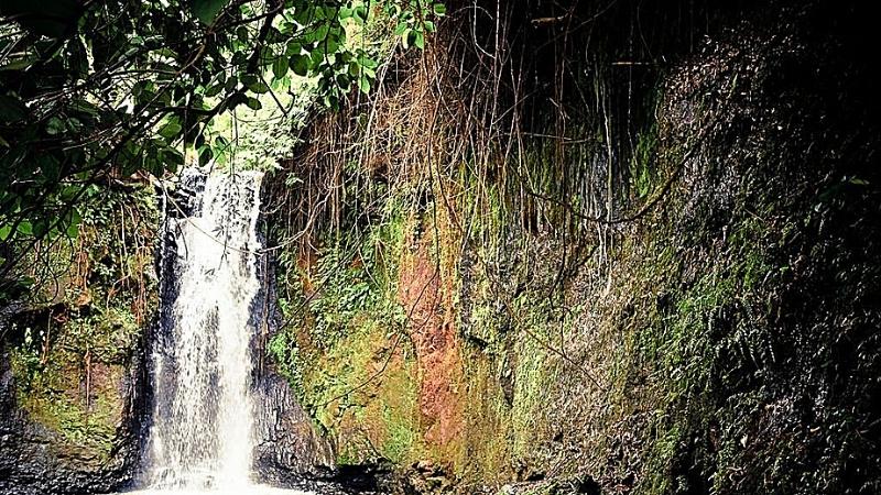 Banlung Waterfall among green forests