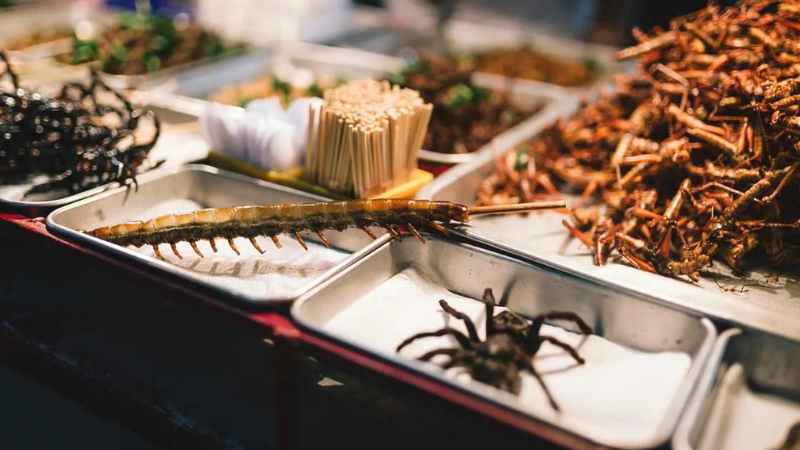 Best Things To Do In Cambodia Eat Some Insects
