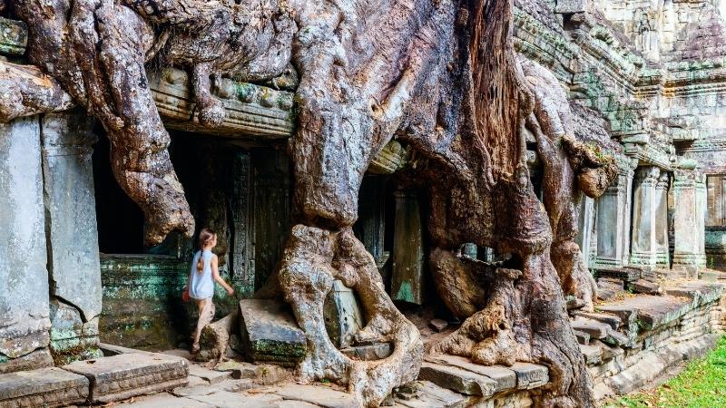 Garuda's of Preah Khan Temple in Siem Reap 