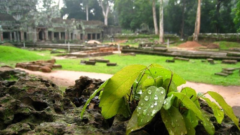 Raining Season In Cambodia Siem Reap