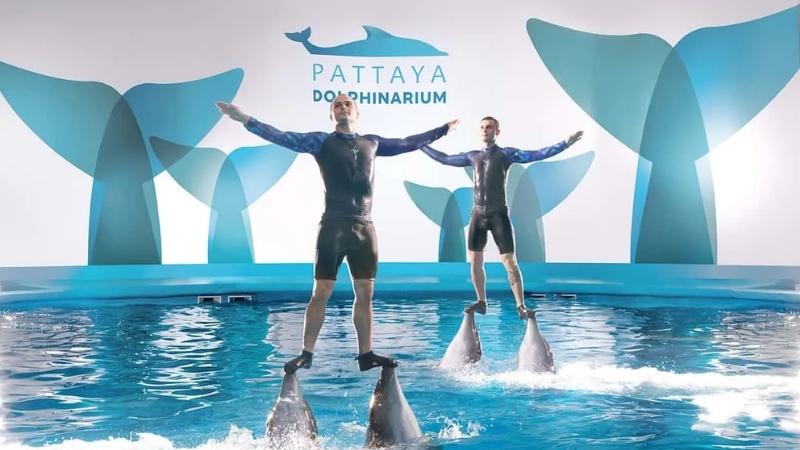 Pattaya Dolphinarium Show