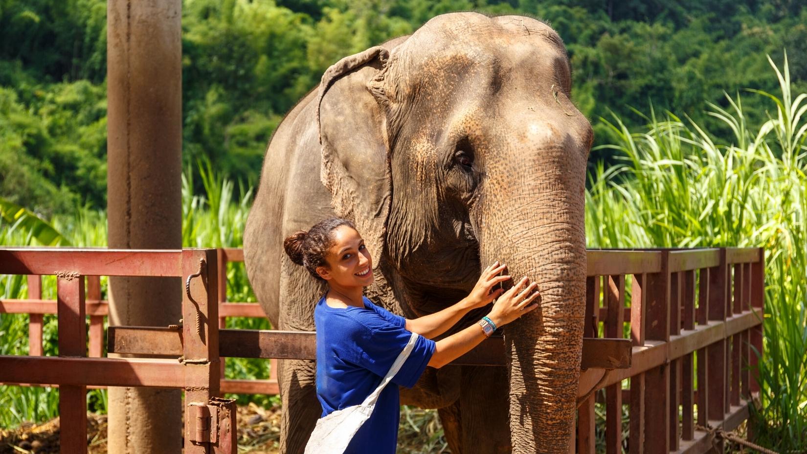 Day 8 Chiang Mai Elephant Sanctuaries