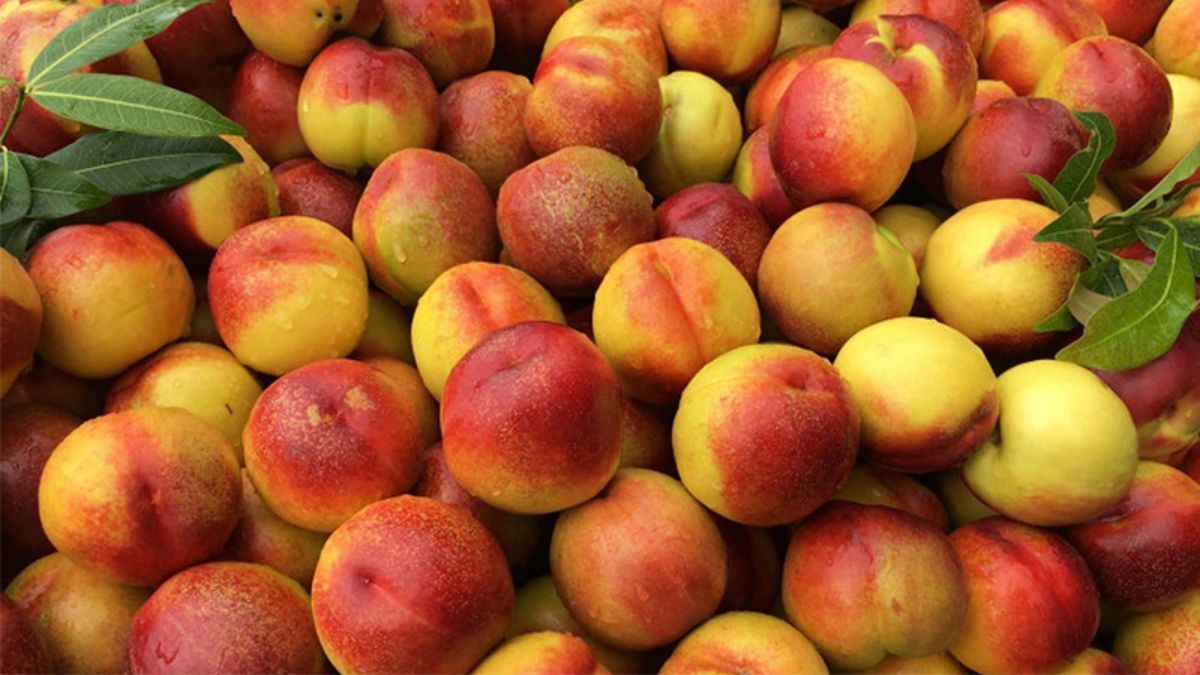 Sapa Peaches Region Specialty