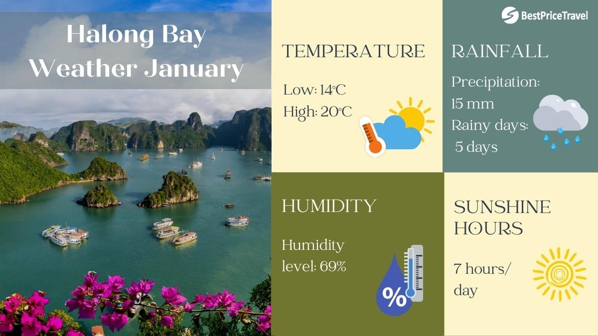 Halong Bay weather January