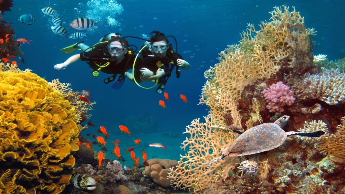 Discover The Underwater World Of Phu Quoc