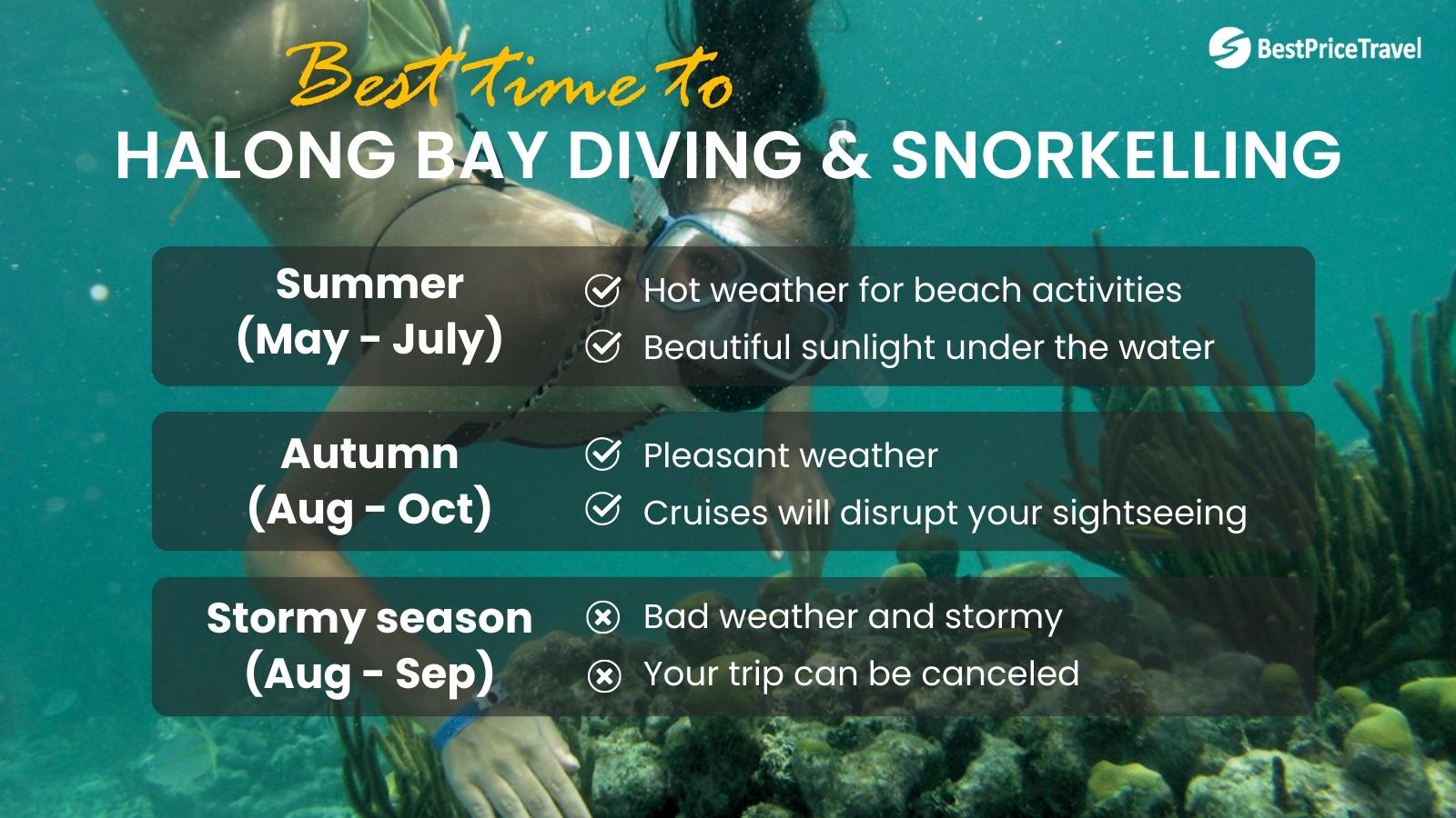 Best Time To Do Halong Bay Scuba Diving & Snorkeling