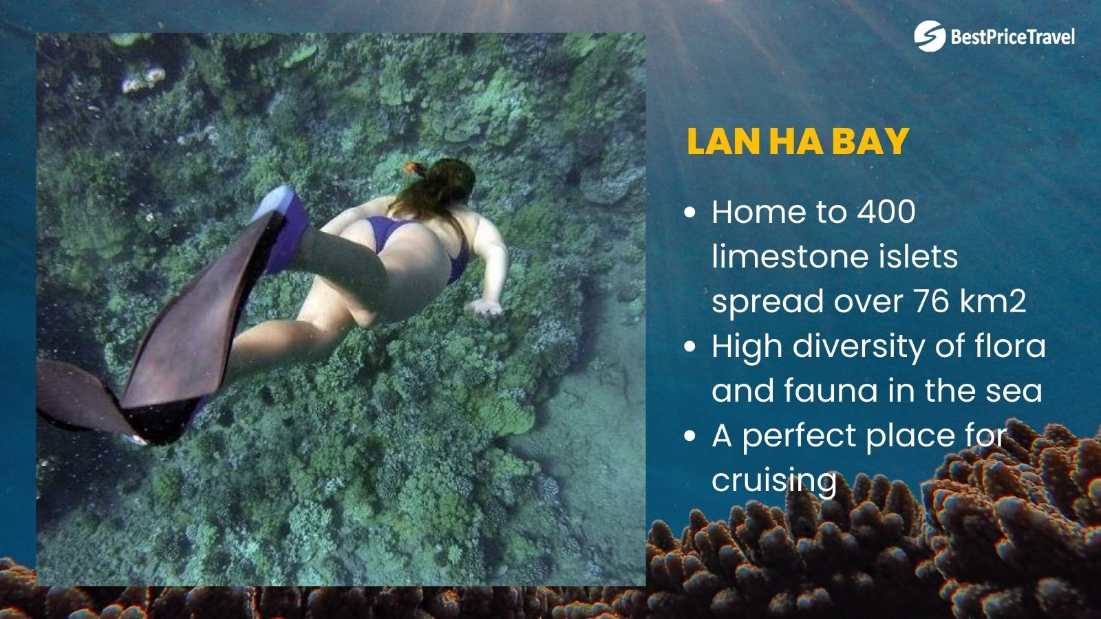 Lan Ha Bay Diving