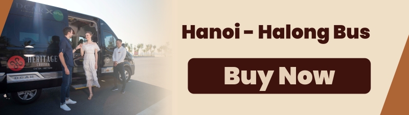 (CTA) Hanoi To Halong Bay Luxury Shuttle Bus Schedule & Price 2023