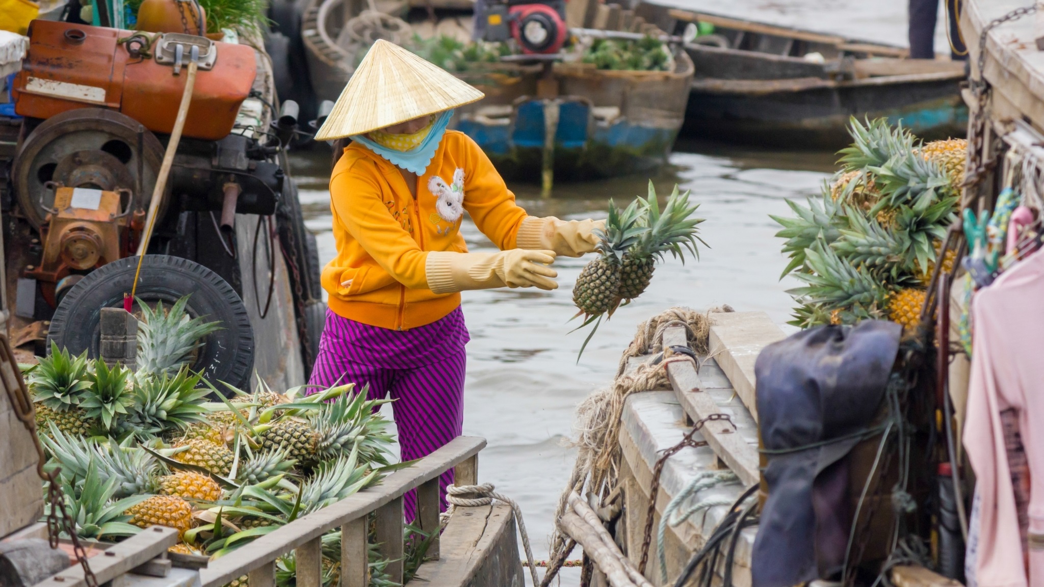 Day 6 Visit Cai Rang Floating Market In Mekong Delta