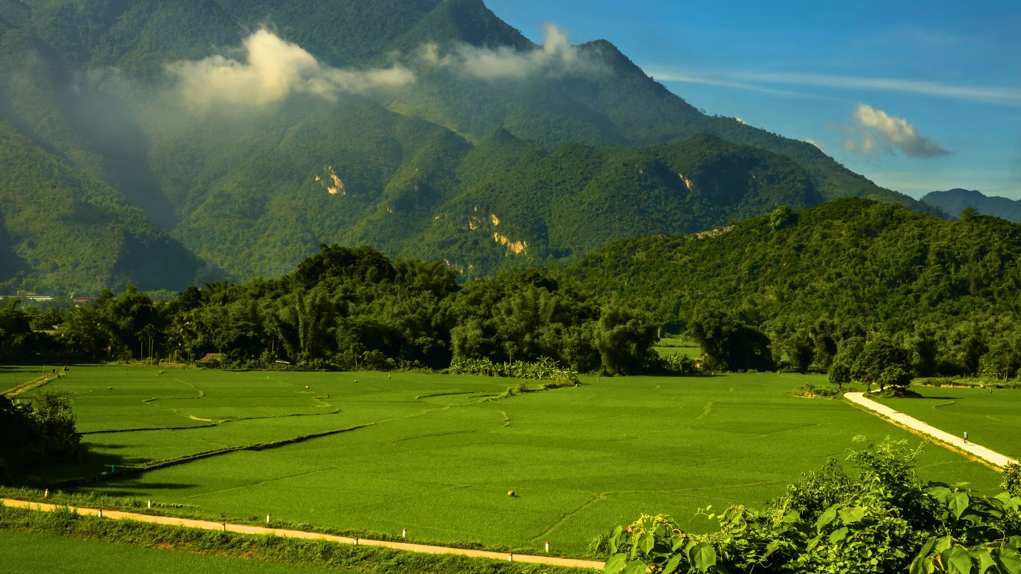 Immerse Yourself In The Tranquil Scenery Of Mai Chau