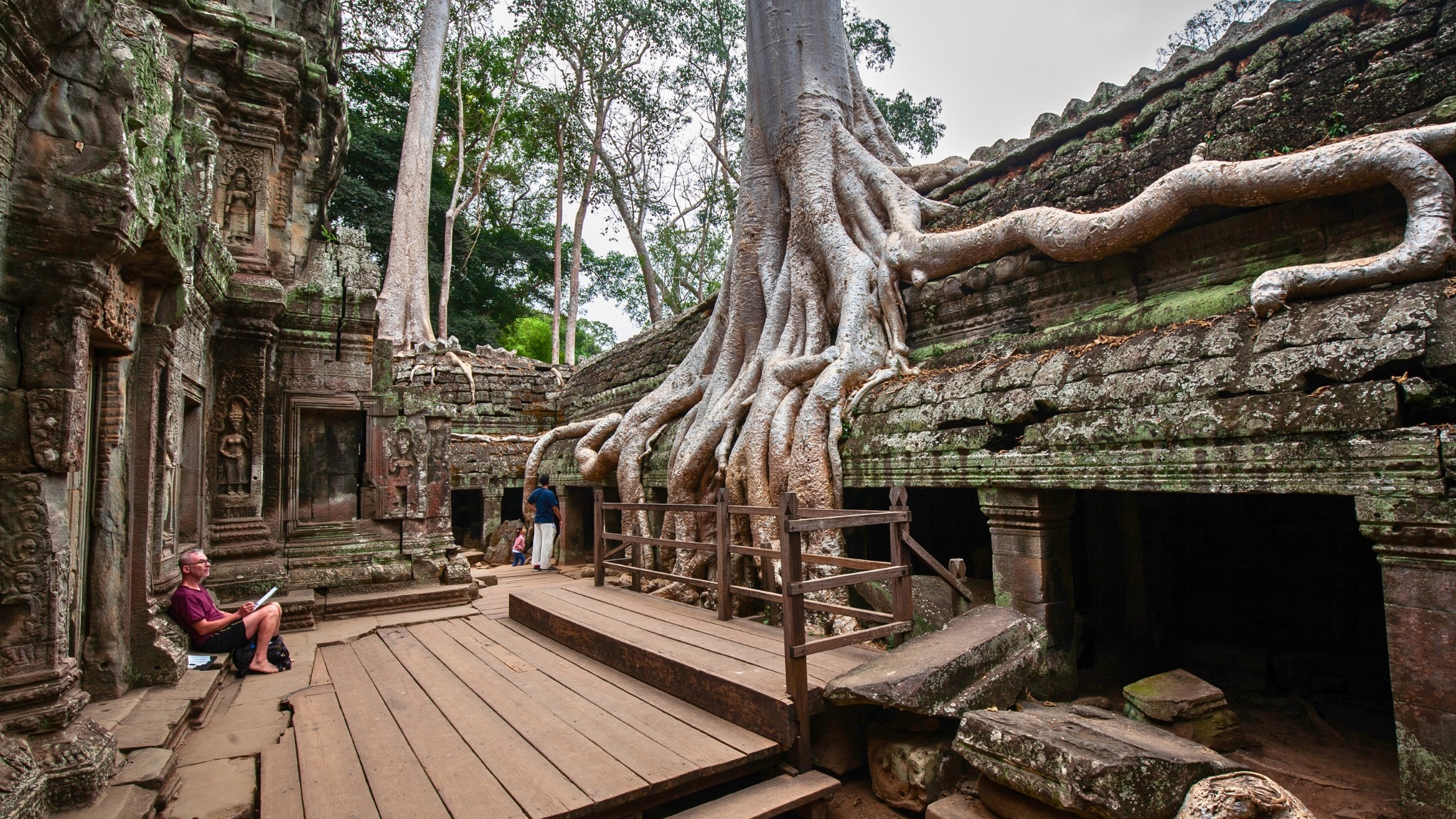 Mystical Ta Prohm In Angkor Archaeological Park