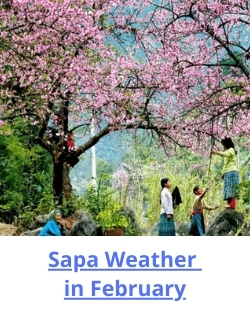 Sapa Weather february