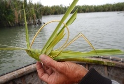 Handmade palm leaf grasshopper