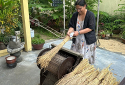 Mom really likes this process of harvesting rice