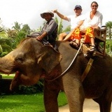 Mahout Experience