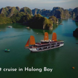 Day 3 Hanoi – Halong Bay Overnight On Cruise
