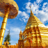 Chiang Mai City Temples and Doi Suthep half day
