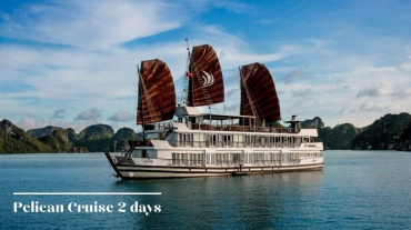 Pelican Cruise 2 days