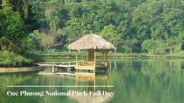 Cuc Phuong National Park Full Day