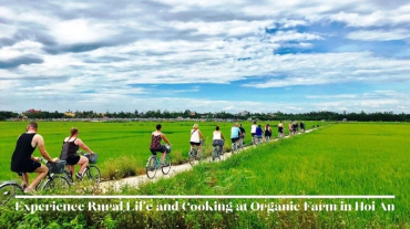 Experience Rural Life and Cooking at Organic Farm in Hoi An