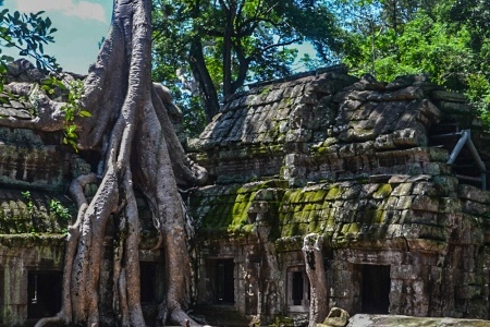 Ta Prohm Trees Eating Building