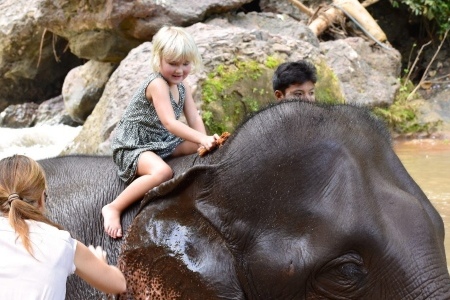 Washing For Elephant