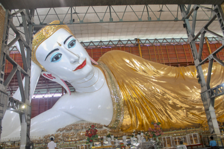 Reclining Budha (5)