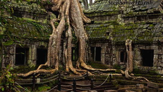 Authenticity of Angkor Discover 5 days