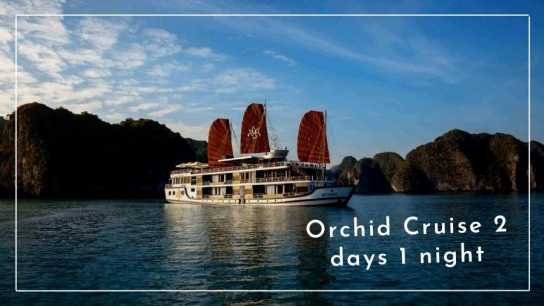 Orchid Cruise 2 days