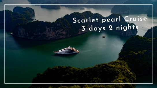Scarlet Pearl Cruise 3 days