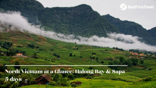 North Vietnam at a Glance: Halong bay & Sapa 5 days