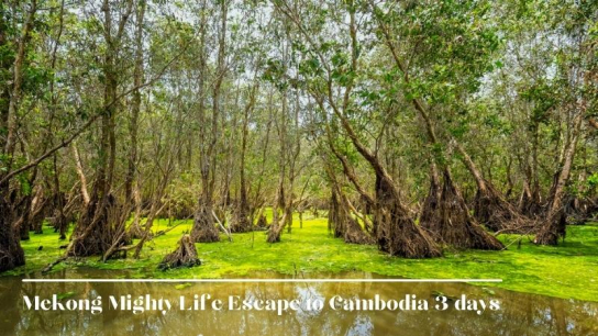 Mekong Mighty Life Escape to Cambodia 3 days