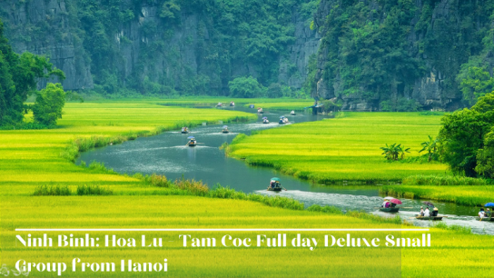 Ninh Binh: Hoa Lu - Tam Coc Full day Deluxe Small Group from Hanoi