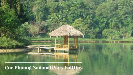Cuc Phuong National Park Full Day