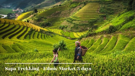 Sapa Trekking - Ethnic Market 3 days