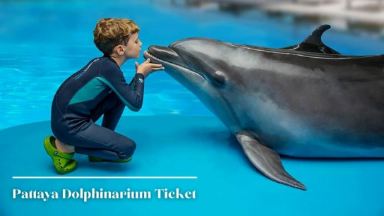 Pattaya Dolphinarium Ticket