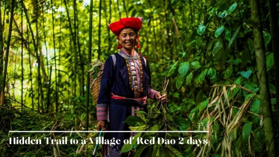Hidden Trail to a Village of Red Dao 2 days