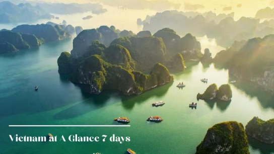 Vietnam at A Glance 7 days