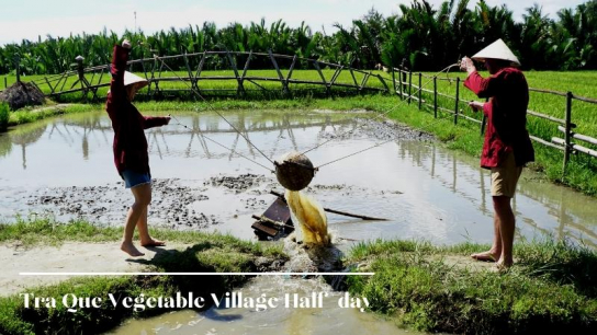 Tra Que Vegetable Village Half-day