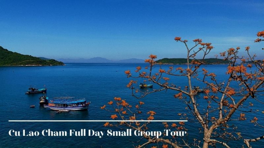 Cu Lao Cham Full Day Small Group Tour