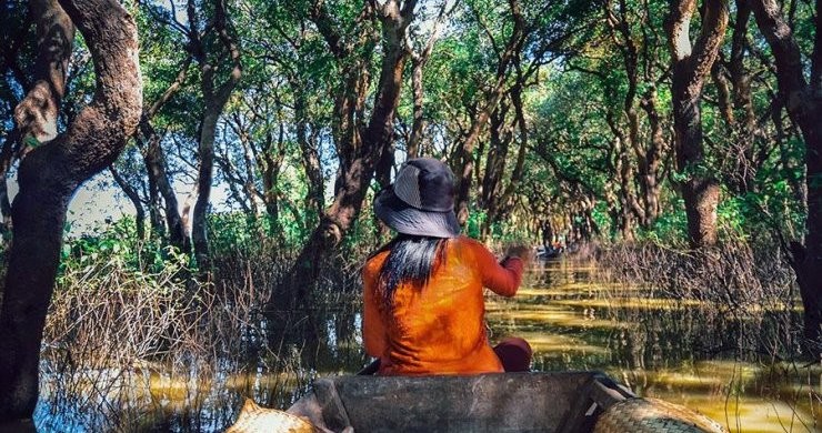 Visit The Flooded Forests Of Tonle Sap