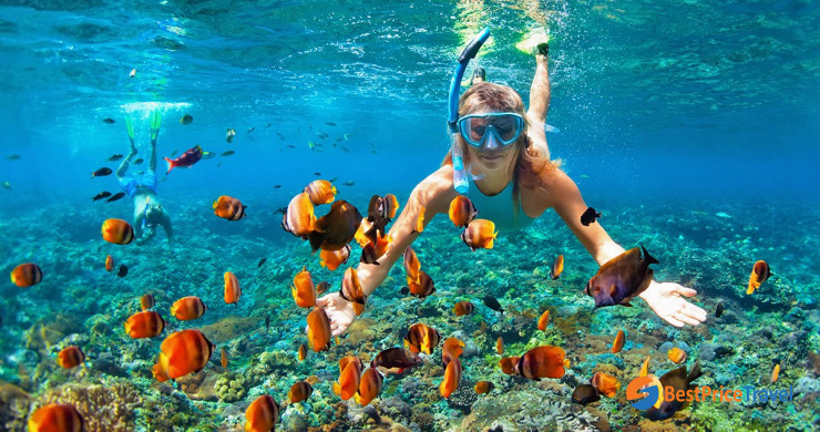 Coral Island Tourists Snorkeling