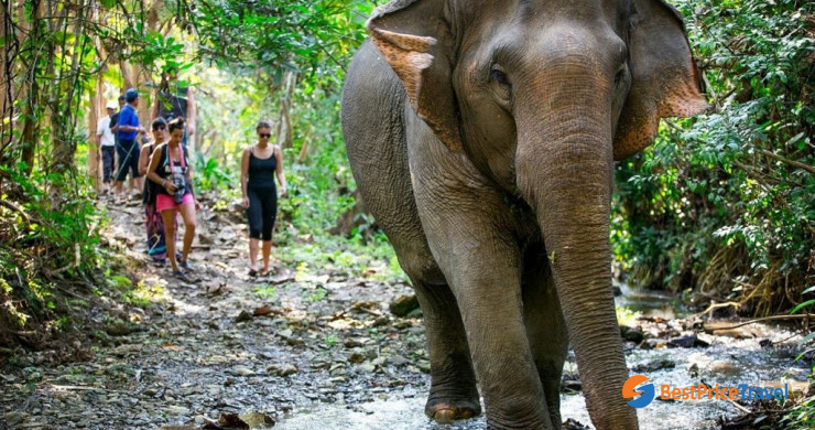 Mandalao Elephant Camp 1