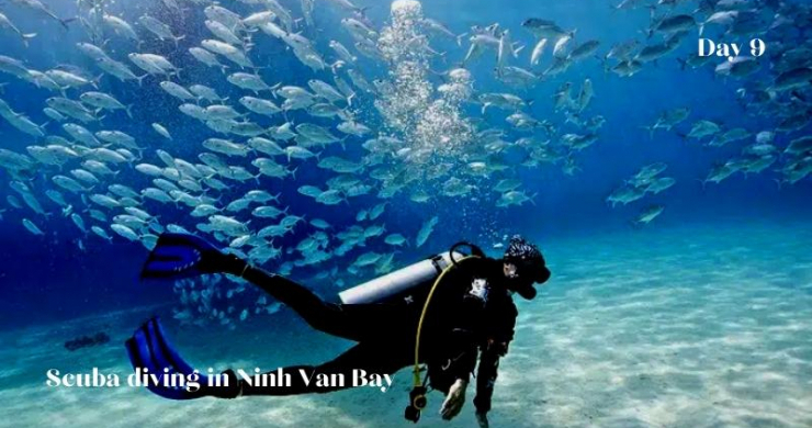 Day 9 Scuba Diving In Ninh Van Bay