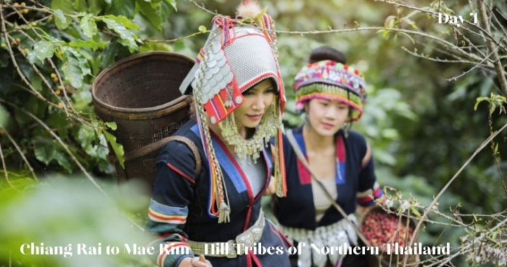 Day 4 Chiang Rai To Mae Rim Hill Tribes Of Northern Thailand
