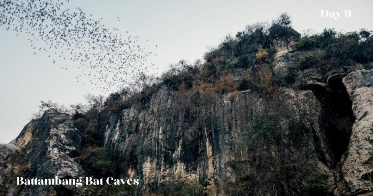 Day 9 Battambang Bat Caves